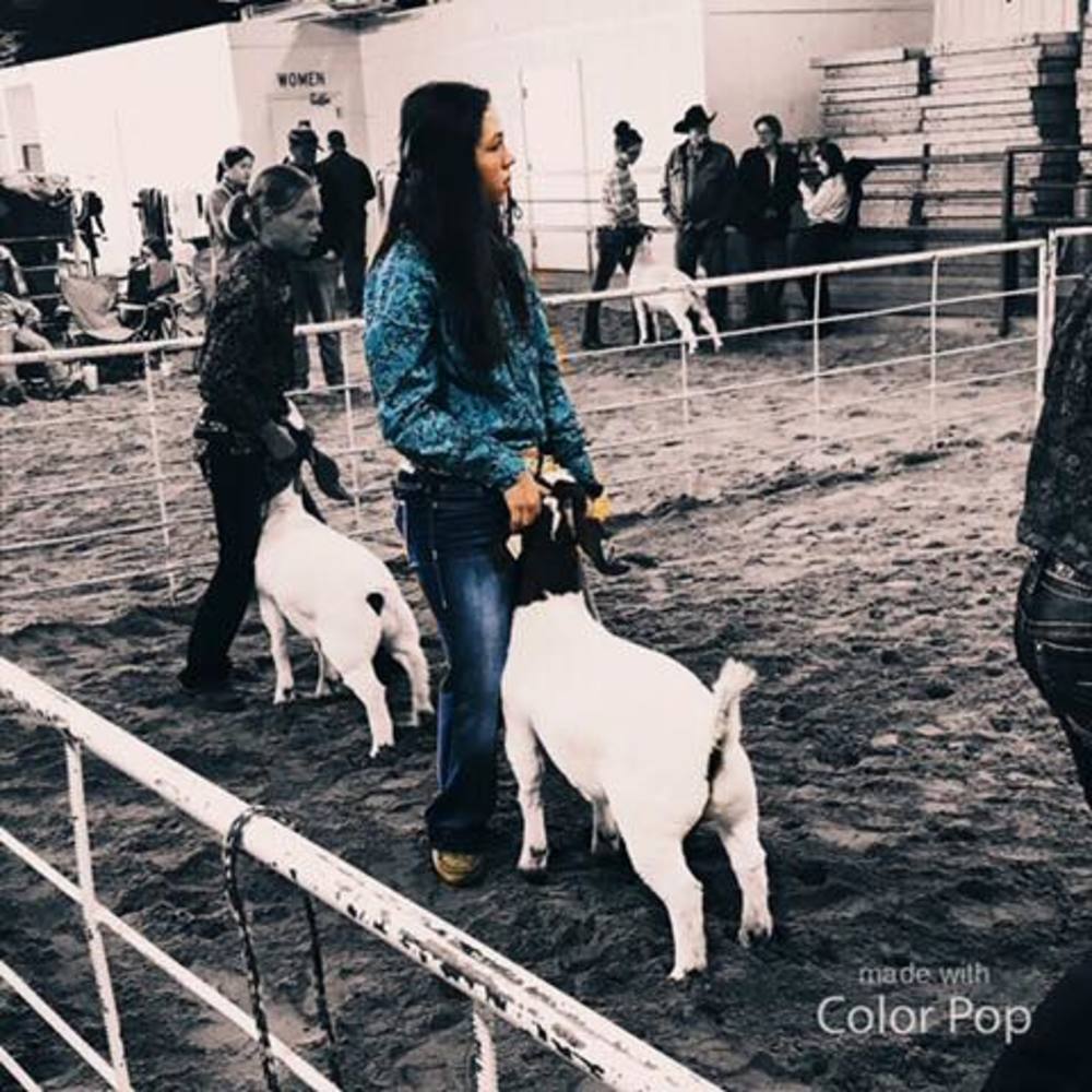 Meet your Posher, Melissa